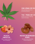Alchemy Naturals CBD Gummies For Stress - Full Spectrum + Mushroom